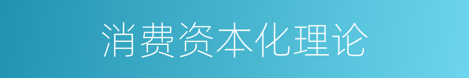 消费资本化理论的同义词