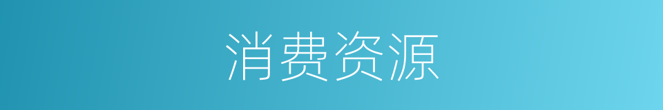 消费资源的同义词