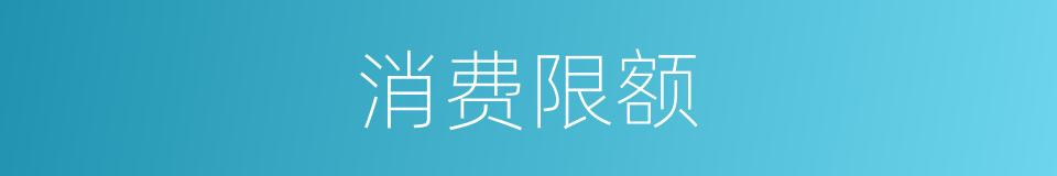 消费限额的同义词