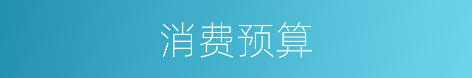 消费预算的同义词