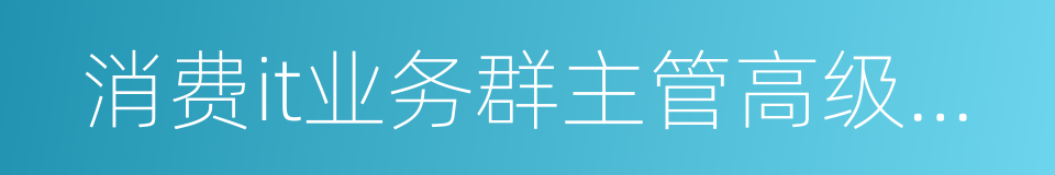 消费it业务群主管高级副总裁的同义词