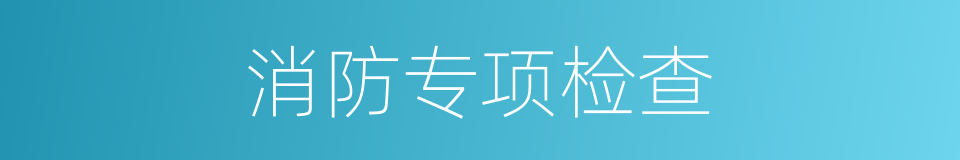 消防专项检查的同义词