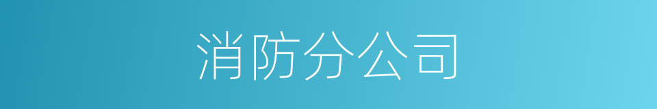 消防分公司的同义词