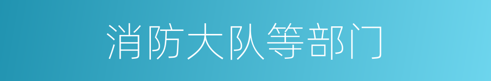消防大队等部门的同义词