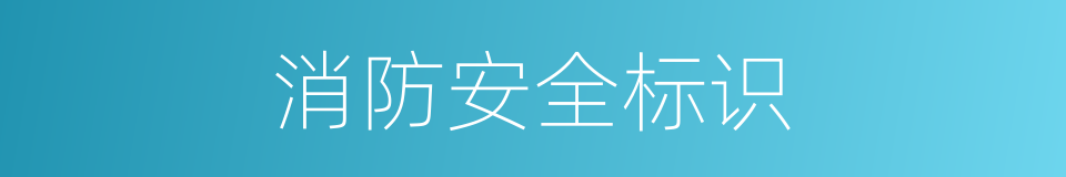 消防安全标识的同义词