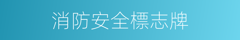 消防安全標志牌的同義詞