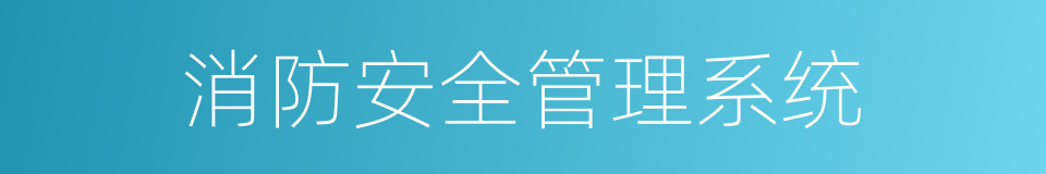 消防安全管理系统的同义词