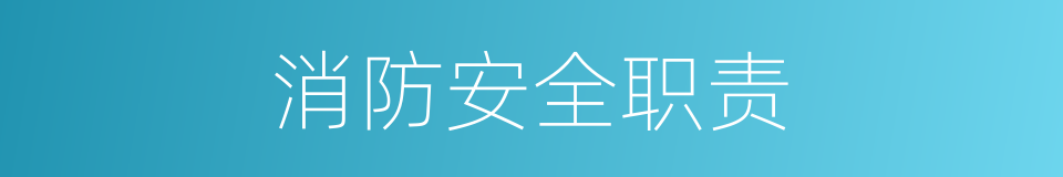 消防安全职责的同义词