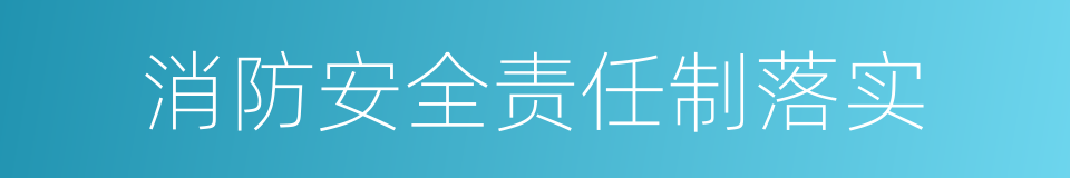 消防安全责任制落实的同义词