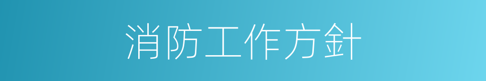 消防工作方針的同義詞