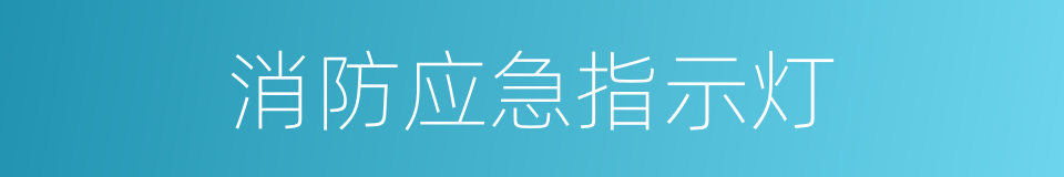 消防应急指示灯的同义词