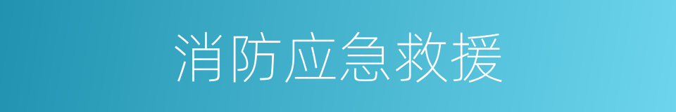 消防应急救援的同义词
