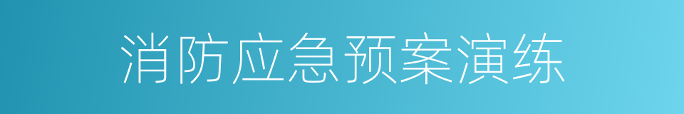 消防应急预案演练的同义词