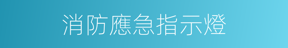 消防應急指示燈的同義詞