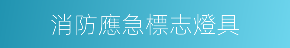 消防應急標志燈具的同義詞