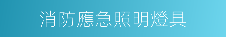 消防應急照明燈具的同義詞