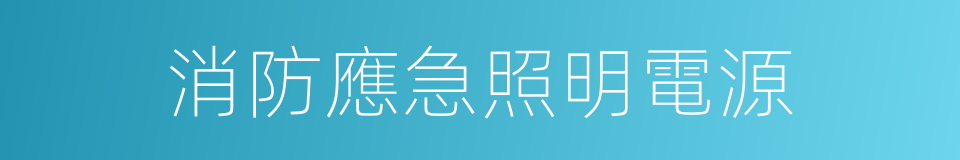 消防應急照明電源的同義詞