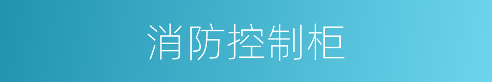 消防控制柜的同义词