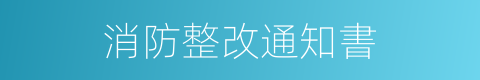 消防整改通知書的同義詞