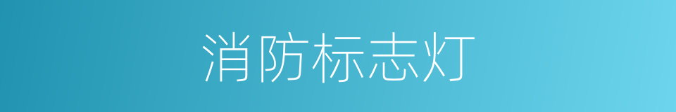 消防标志灯的同义词