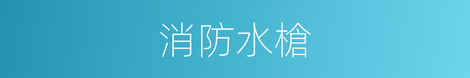 消防水槍的同義詞