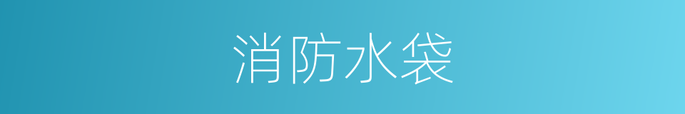 消防水袋的同义词