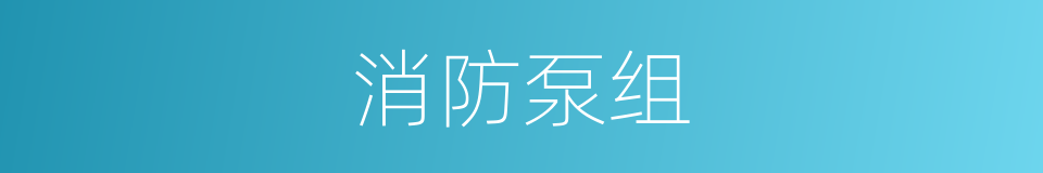 消防泵组的同义词