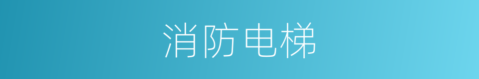 消防电梯的同义词