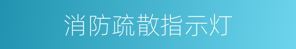 消防疏散指示灯的同义词