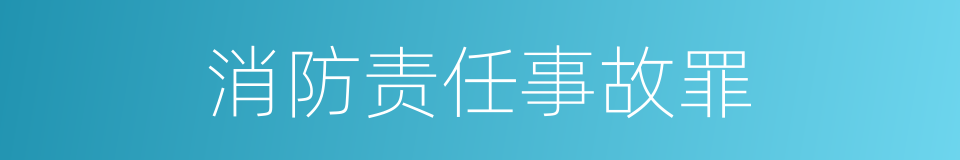 消防责任事故罪的同义词