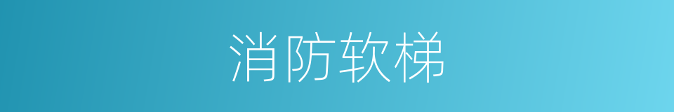 消防软梯的同义词