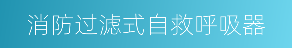 消防过滤式自救呼吸器的同义词