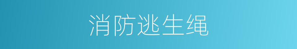 消防逃生绳的同义词