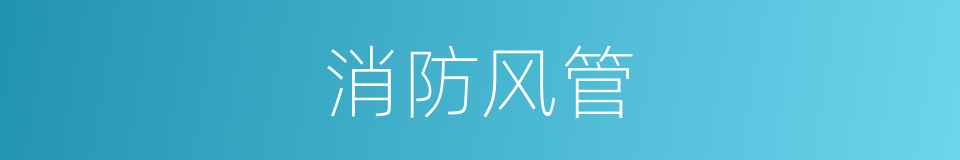 消防风管的同义词