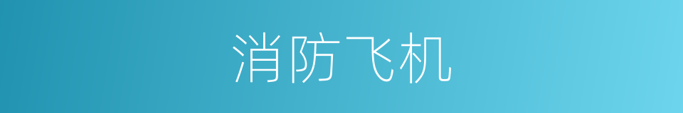 消防飞机的同义词