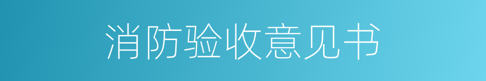 消防验收意见书的同义词