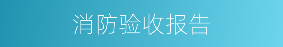消防验收报告的同义词