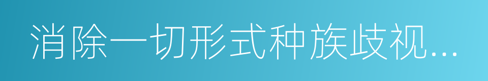 消除一切形式种族歧视国际公约的同义词