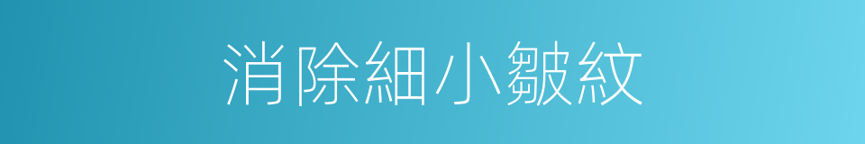 消除細小皺紋的同義詞