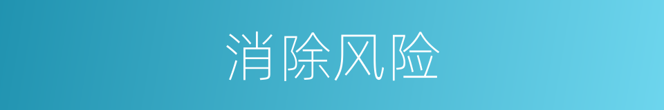 消除风险的同义词