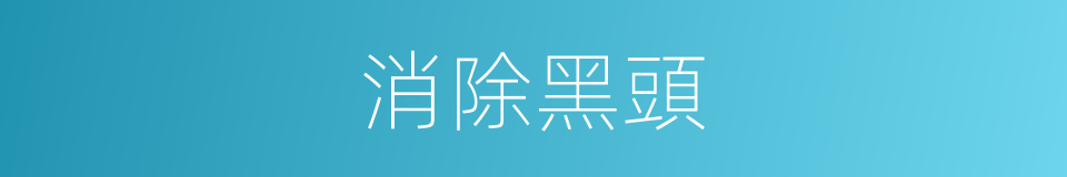 消除黑頭的同義詞