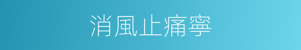 消風止痛寧的同義詞