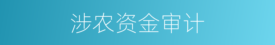 涉农资金审计的同义词