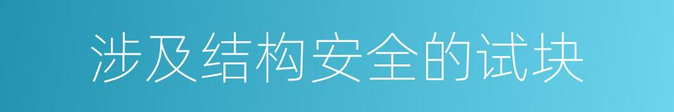 涉及结构安全的试块的同义词