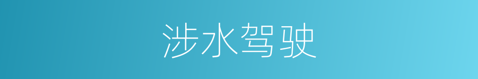 涉水驾驶的同义词