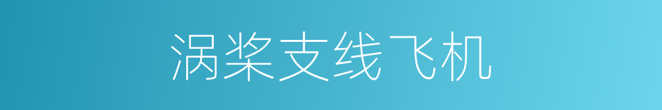 涡桨支线飞机的同义词