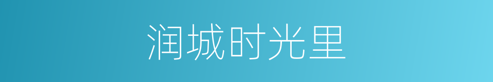润城时光里的同义词