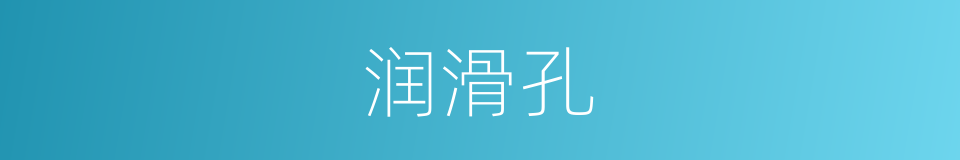 润滑孔的同义词