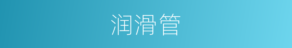 润滑管的同义词