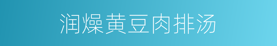 润燥黄豆肉排汤的同义词